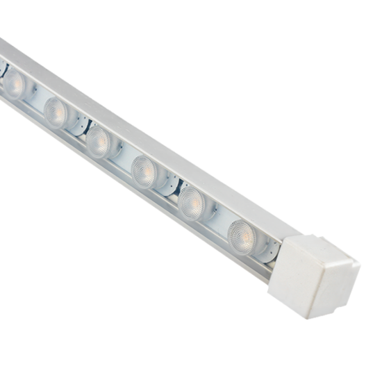 ��˫������ϴǽ��