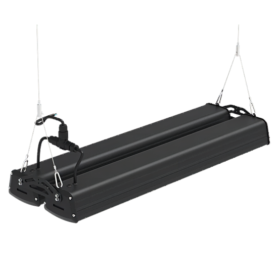 IP65���ι����