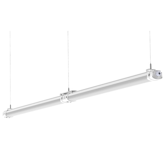 TPBϵ��������