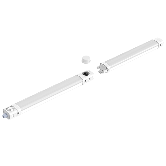 TPBϵ��������