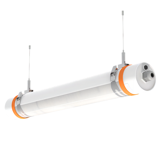 TPFϵ��������