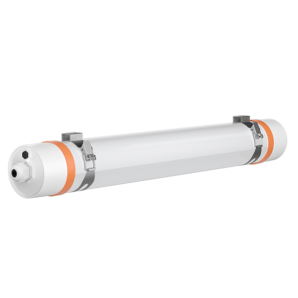 TPFϵ��������